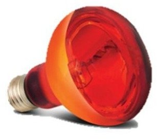 Arcadia sbr50 basking Solar Infra-Red lampa ciepła