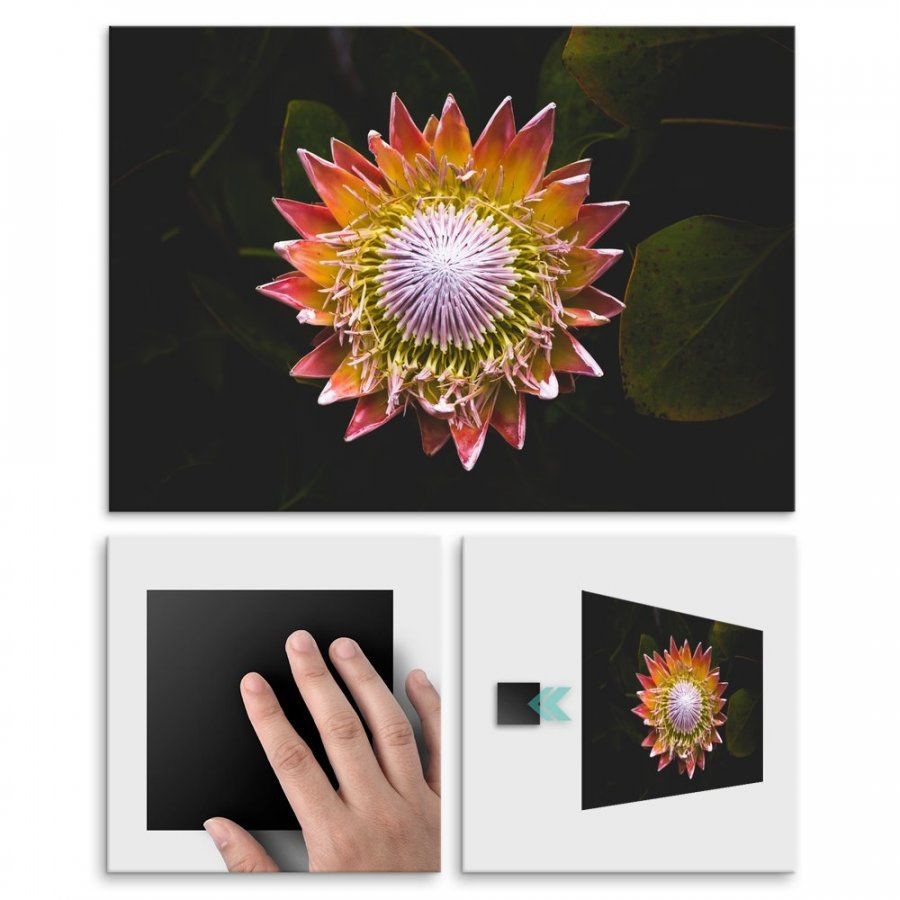 Pix4home Plakat metalowy kolorowy kwiat L POS-L-01381