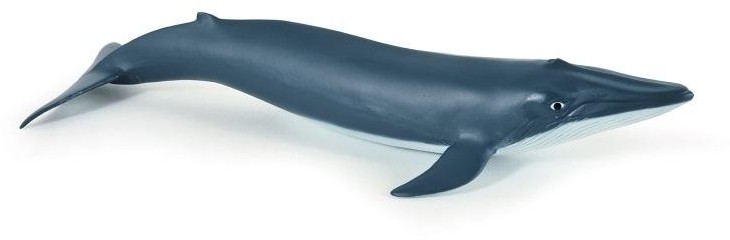 Papo Płetwal błękitny młody