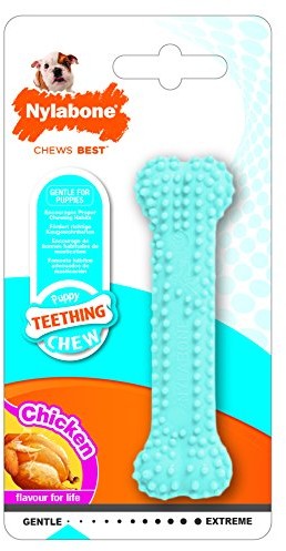 Interpet Po właściwym Bone Puppy chruniczewa Teething Soft Bone Chicken Flavored Dog Toy Petite Blue NBP901P