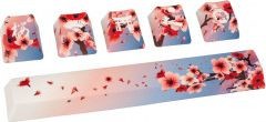 Traitors Sakura Shiro Keycaps TRDSU0247-1 TRDSU0247-1