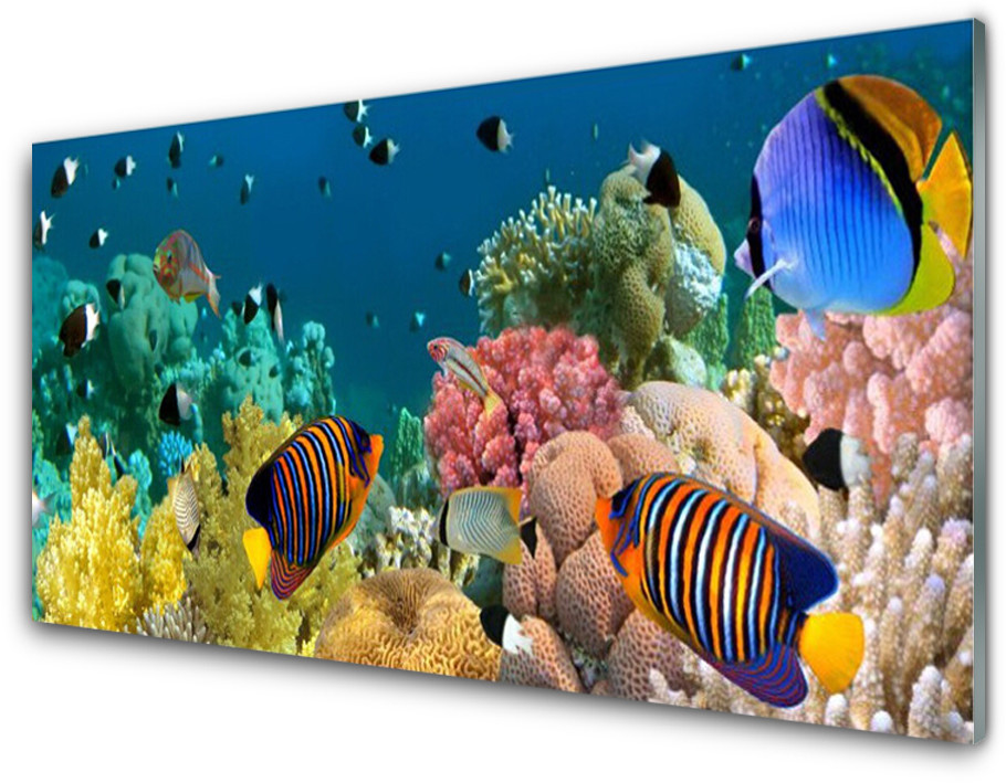 Tulup.pl Panel Kuchenny Rafa Koralowa Natura 100x50cm