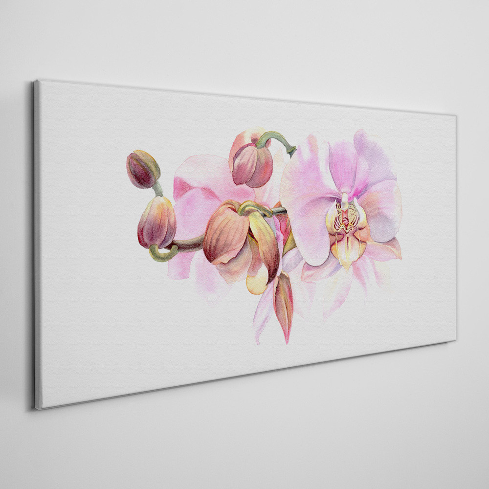 PL Coloray Obraz Canvas Akwarela kwiat orchidea 140x70cm