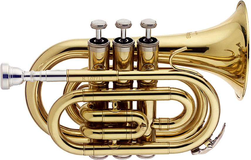 Stagg WS-TR245S - trąbka