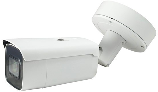 LevelOne FCS-5095 - network surveillance camera FCS-5095