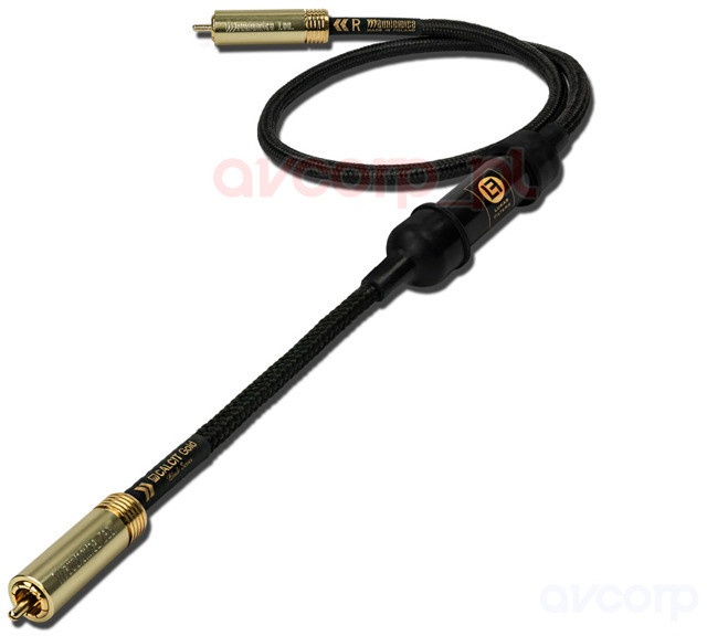 Audiomica Lab. Calcit Gold - RCA Calcit Gold - RCA (ACTIONX9.1)