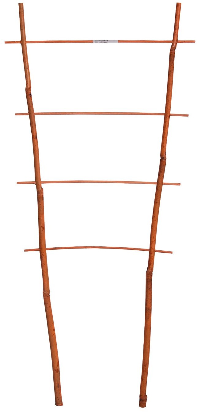 gockowiak Drabinka bambusowa podwójna 60 cm