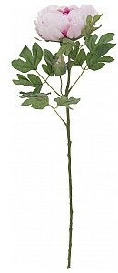 Europalms EUROPALMS Kwiat Piwonia classic, sztuczna roślina, różowy, 80 cm 82530210