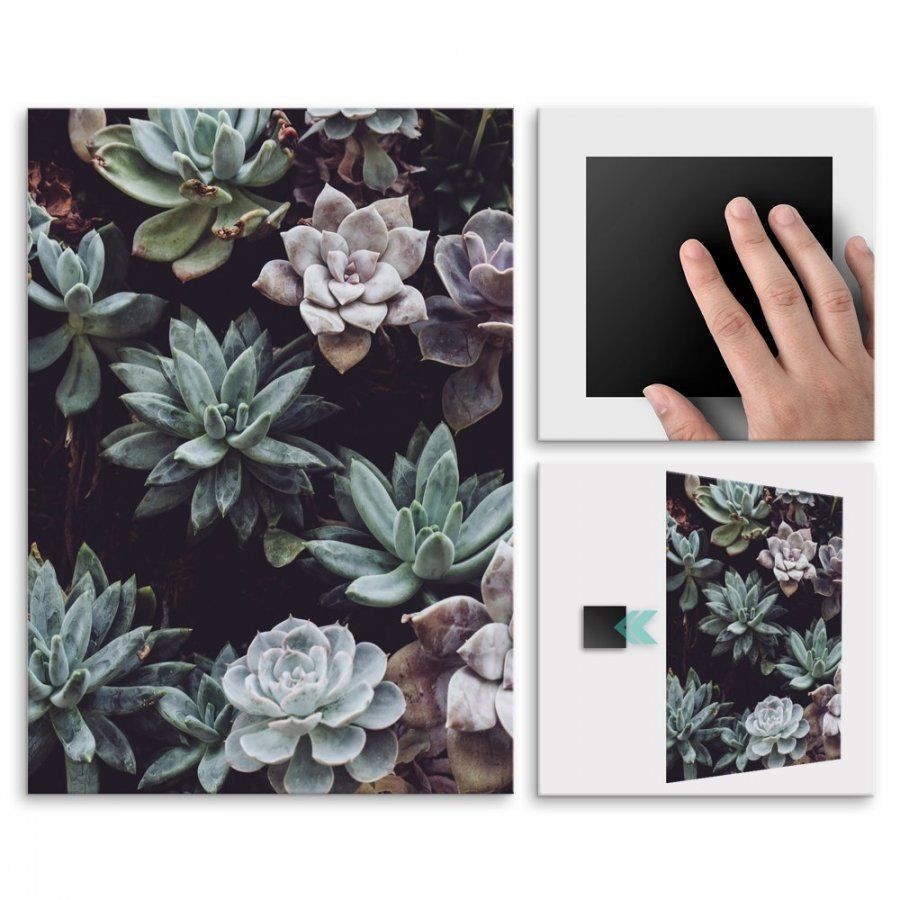 Pix4home Plakat metalowy kwiaty lasu L POS-L-01350