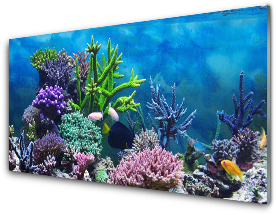 Tulup.pl Panel Szklany Akwarium Rybki Pod Wodą 120x60cm