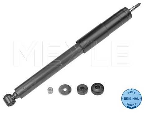 Wulf Gaertner Autoparts Amortyzator Wulf Gaertner Autoparts 026 725 0012