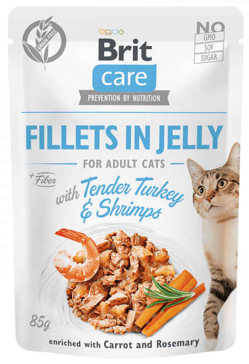 Brit karma mokra dla kotów Cat Fillets in Gravy with Tender Turkey & Savory Salmon 24x85 g
