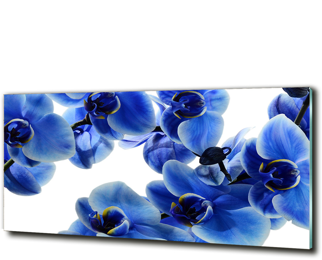 Foto obraz szklany Niebieska orchidea