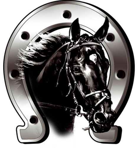 Avisa Naklejka koń podkowa - 6 x 7 cm