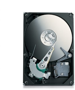 Seagate ST31000340NS