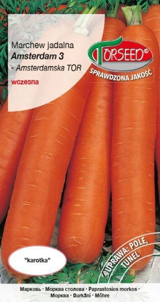 Torseed Nasiona Marchew Amsterdam 3 5g Torseed9107