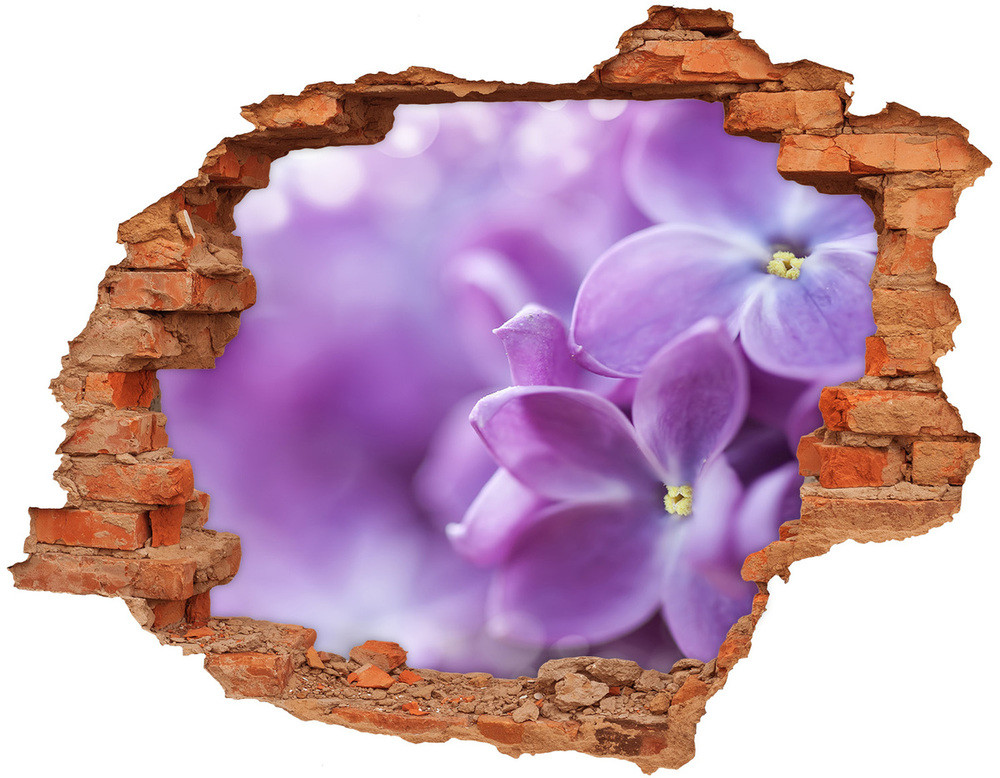 Wallmuralia.pl Samoprzylepna dziura na ścianę Kwiaty bzu