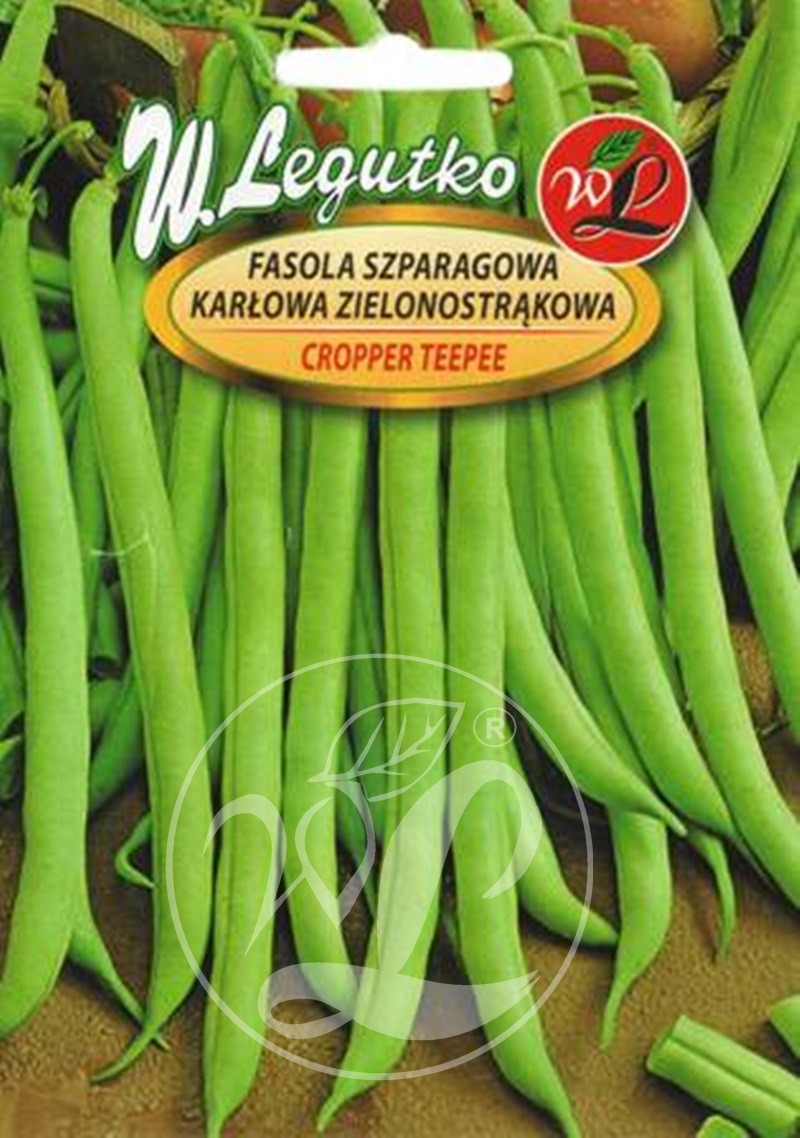 Legutko Fasola zwykła szparagowa karłowa zielonostrąkowa Cropper Teepee - śr. wczesna 40g