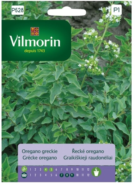 Vilmorin Nasiona oregano greckie