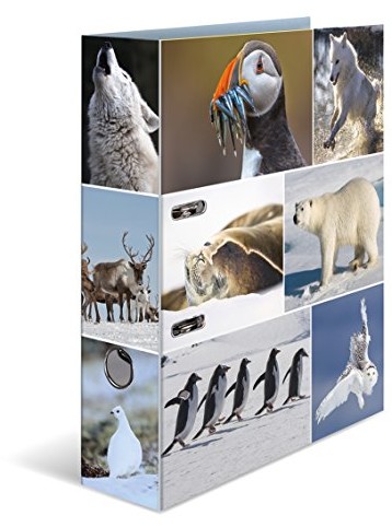 Herma HERMA 7204 pudełko z motywem folderu DIN A4, seria zwierząt, wzornictwo lodu światów, druk o szerokości 70 MM, z wewnętrznym, folder 1 7204