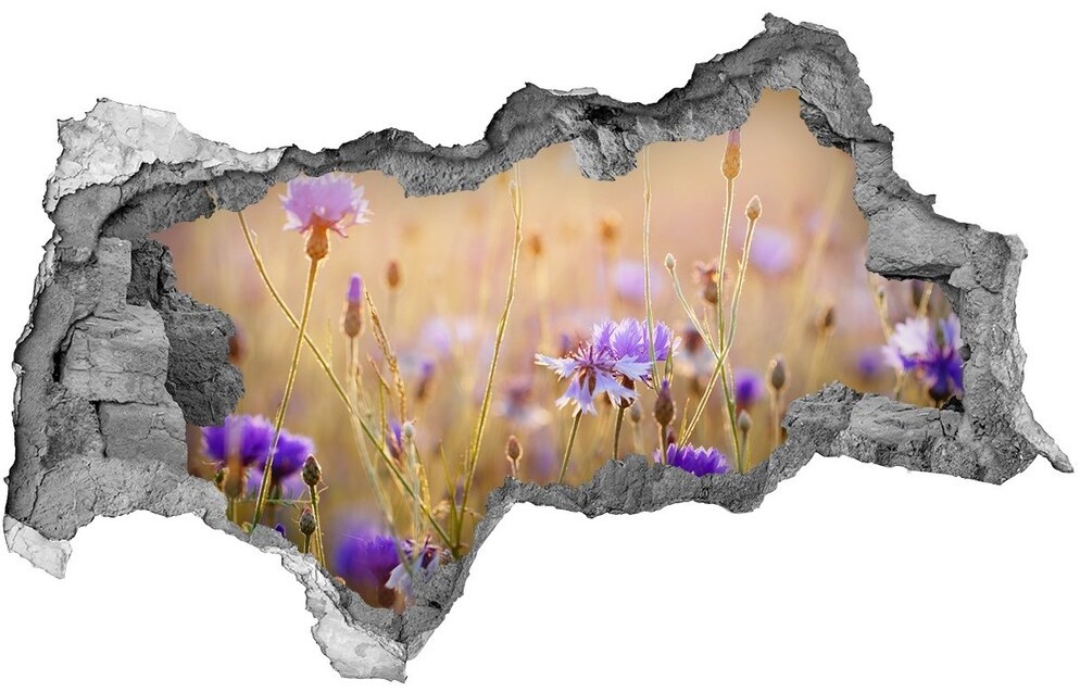 Wallmuralia.pl Samoprzylepna dziura naklejka Polne kwiaty