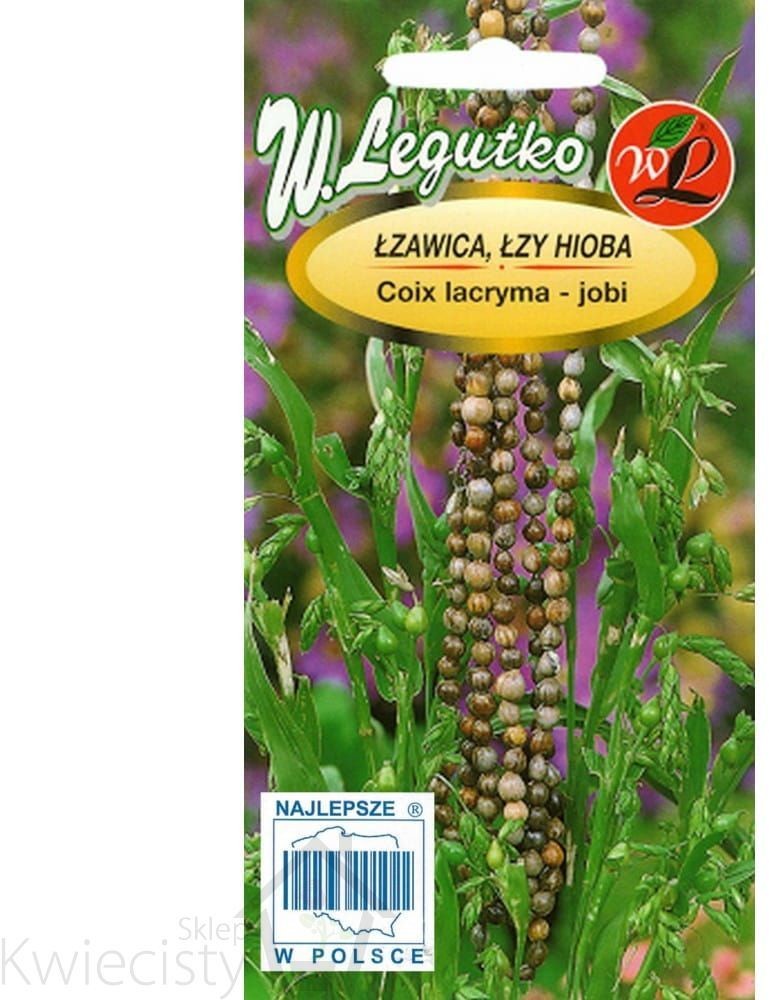 Legutko sp. z o.o Nasiona Łzawica, Łzy Hioba, 3g