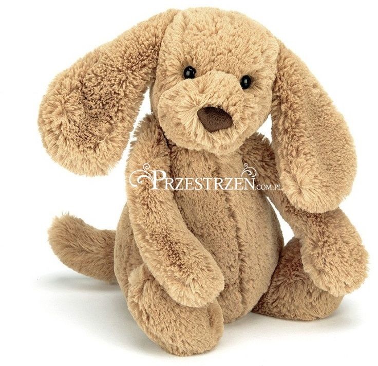 Jellycat MASKOTKA Pluszowy Piesek Szczeniak TOFIK BAS3TPUS