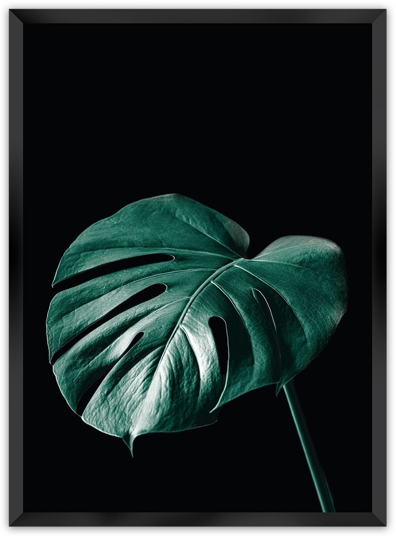 Dekoria Dekoria Plakat Dark Monstera 21 x 30 cm Ramka Czarna 218C-000-21