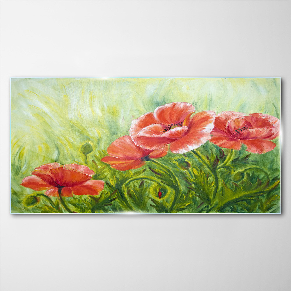 PL Coloray Obraz na Szkle kwiaty rośliny maki 100x50cm