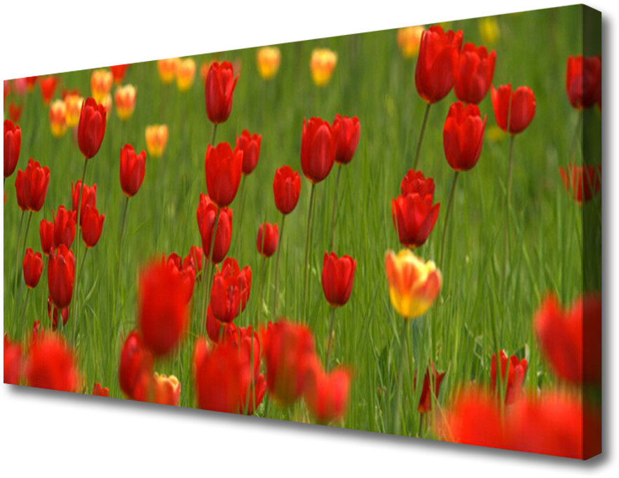 PL Tulup Obraz na Płótnie Tulipany Roślina 100x50cm