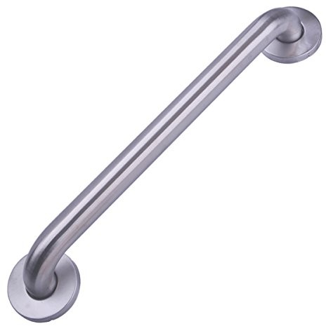 AmazonBasics Bathroom Handicap Grab Bar