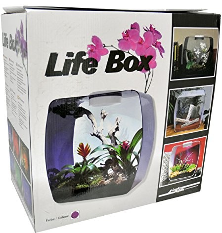 Lucky Reptile LB Life Box Nanoterrarium ze szkła akrylowego, mały, granatowy (Beere)