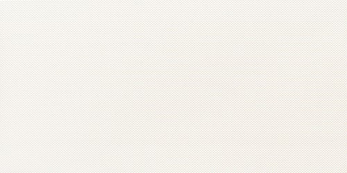 Tubądzin Reflection White Dekor 29,8x59,8