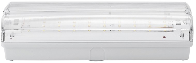 Nedes Nedes LEL101 - LED Oprawa awaryjna LED/3W/240V 6000K