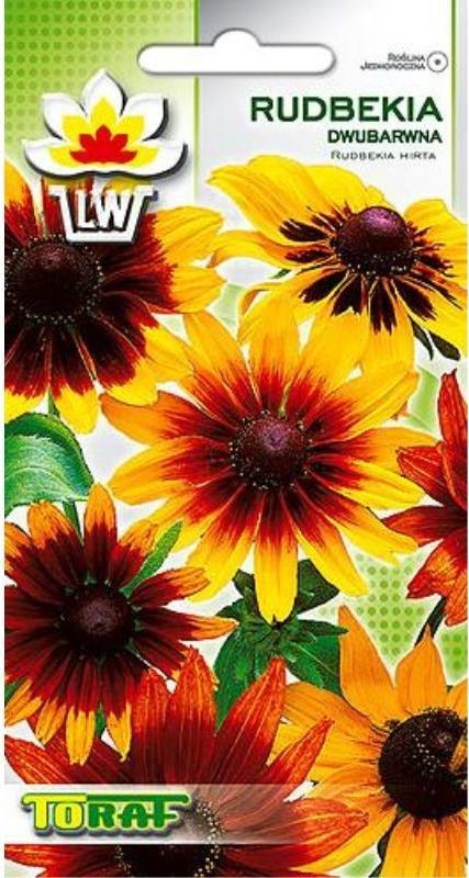Toraf KWIATY Rudbekia dwubarwna nasiona 1g 00468