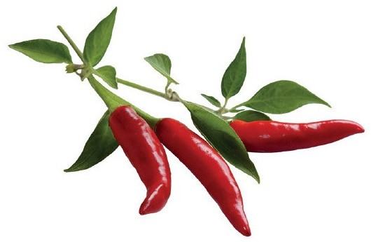 Click&Grow Kapsułki z nasionami Smart Soil 3 szt. papryczki chilli 4742793007311
