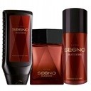 Avon Zestaw Segno Success 3 Szt.