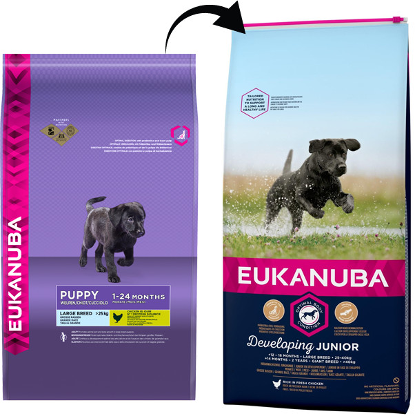 Eukanuba Developing Junior Large Breed 12 kg