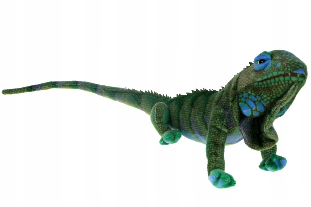 Zoo: maskotka Legwan 75cm (16573)