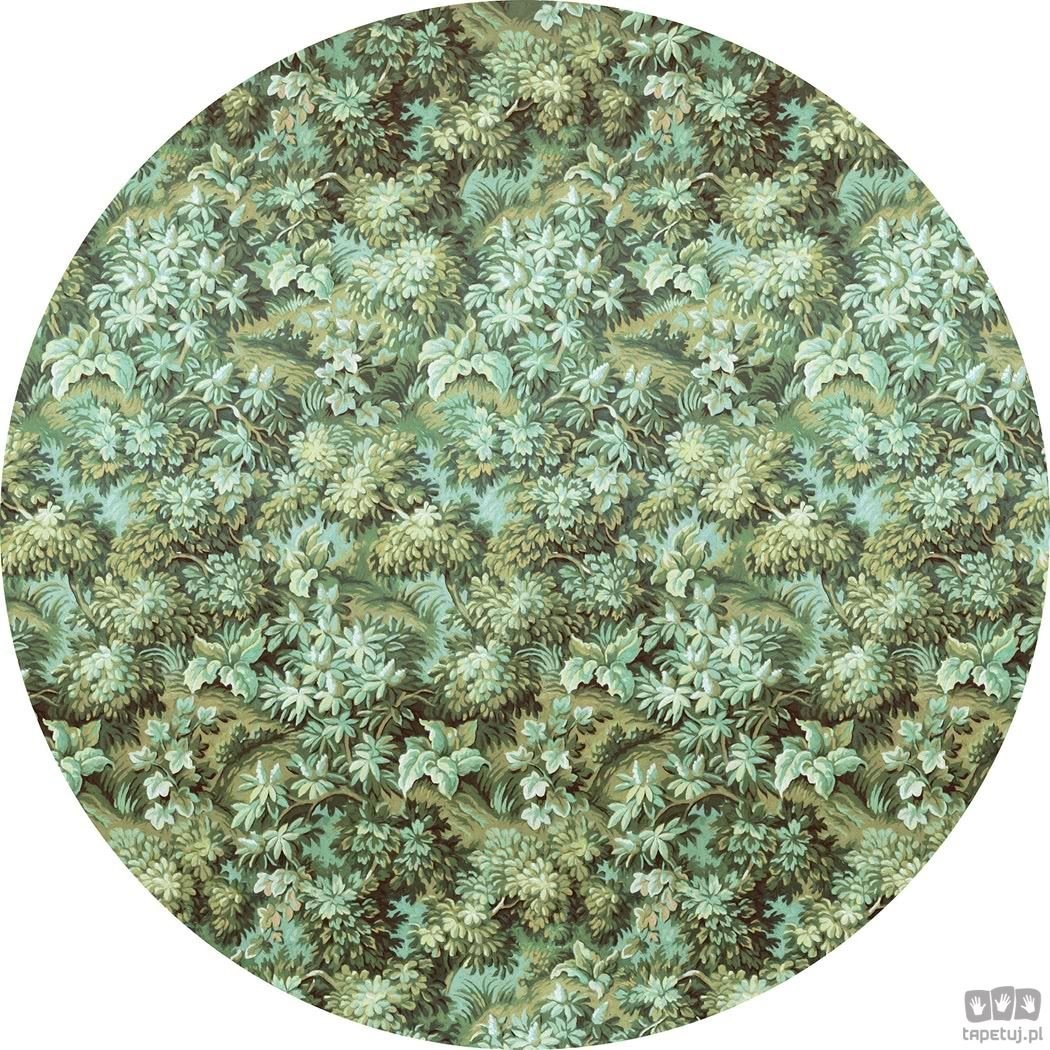 Komar Fototapeta Greenery D1-024 D1-024