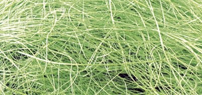 Rayher Hobby Rayher 8524511 worek włókien do trawy, 20 G, h. Zielony 85-245-11