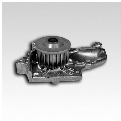 HEPU Pompa wodna P706