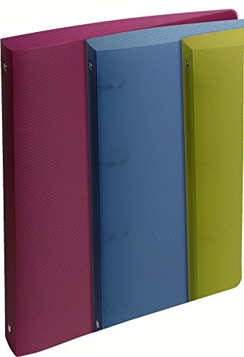 Exacompta 3130630513872 CLAS seur polipropylenu, DIN A4 Maxi, 297 x 242 cm, posortowane 51387E