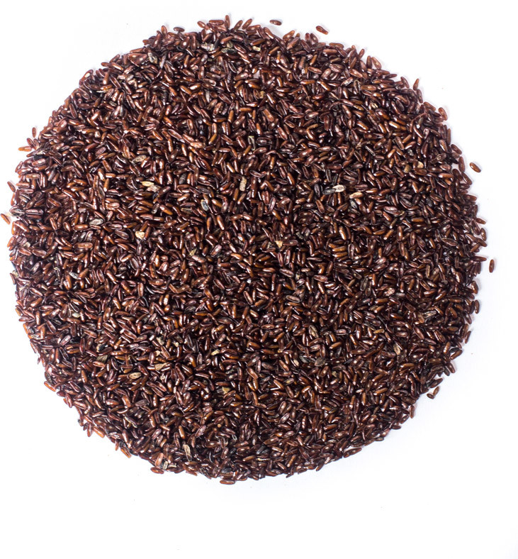 Planteon Babka płesznik ziarno 100g 2-0052-01-2