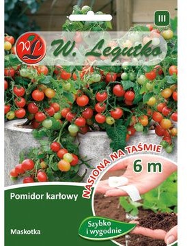 Legutko Pomidor gruntowy karłowy MASKOTKA