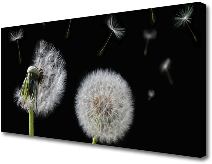 PL Tulup Obraz na Płótnie Mniszek Lekarski 100x50cm