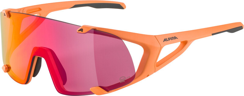 Alpina Alpina Hawkeye S Q-Lite Glasses, pomarańczowy  2022 Okulary 8695052