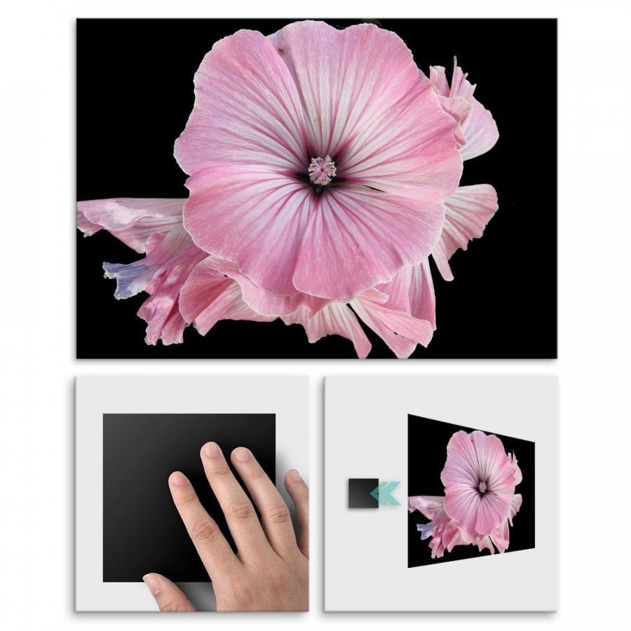 Pix4home Plakat metalowy elegancja kwiatu L POS-L-01253
