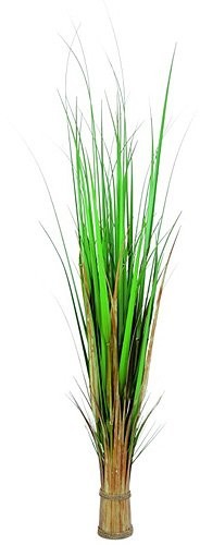 Europalms Euro Palms 82600141 Fuchs trawy, 150 cm 82600141