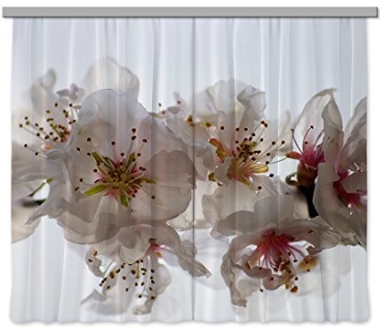 AG Design Firanka/zasłona FCPxxL 6409 kwiaty, 280x245 cm, 2-częściowa FCPxxL 6409